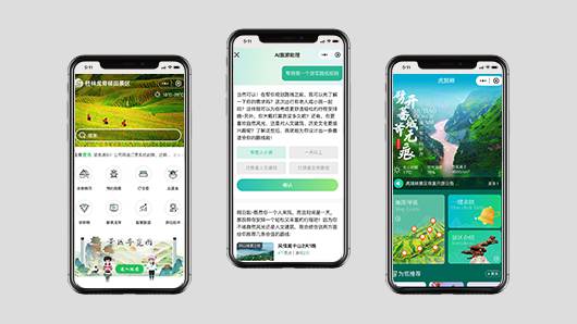 小程序大模型应用